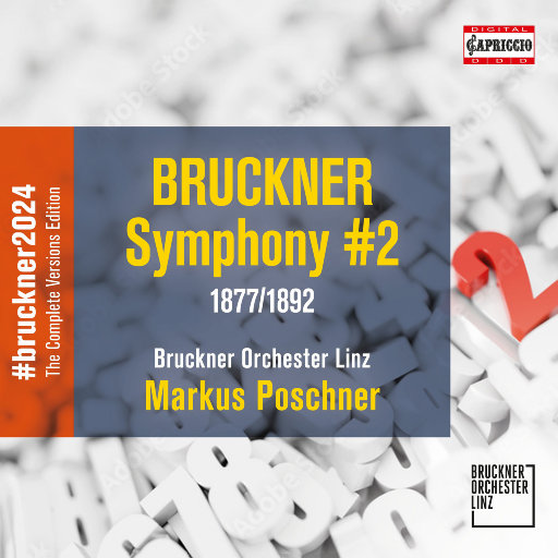 熟女浓密阴毛受不了说喜欢大鸡巴小伙
